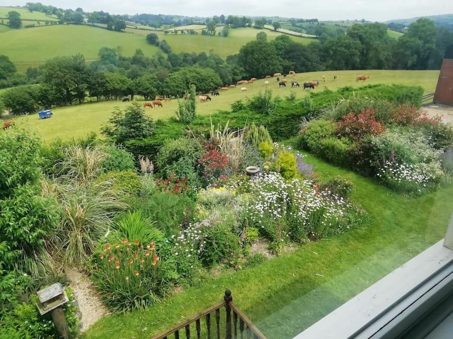Country Home With Gardens Newtown  Exterior foto